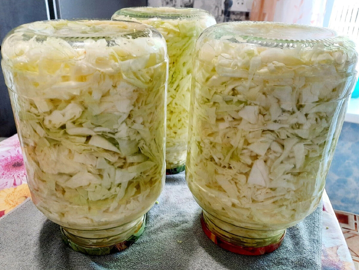 Маринованная ранняя капуста на зиму. Маринованная капуста крупными кусками на зиму в банках. Что готовят из ранней капусты на зиму. Рецепты салата из капусты ранней капусты на зиму под крышкой.