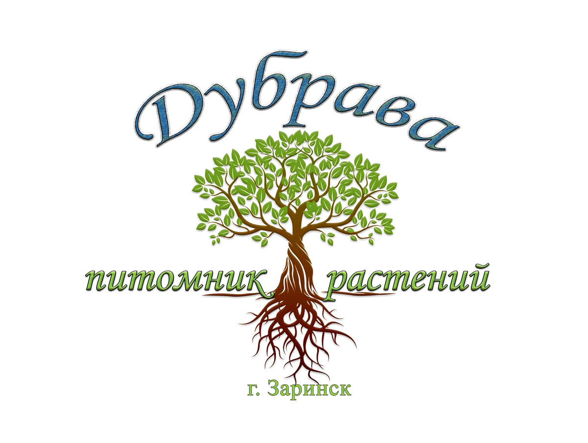 Питомник дзен. Питомник Дубрава Заринск. Зеленый май питомник растений. Эммаус питомник растений. Питомник растений Чебоксары.