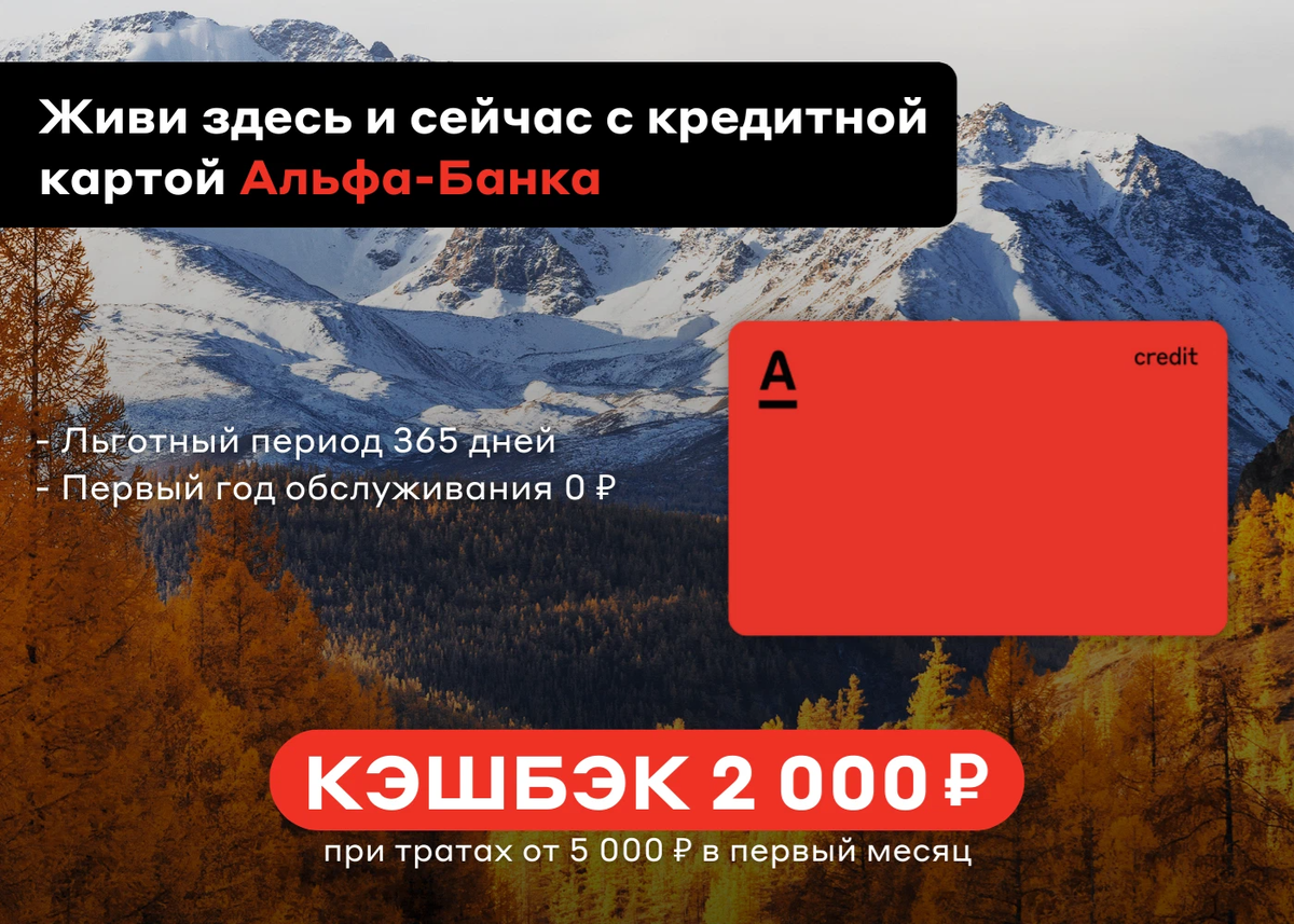 Альфа карта 365 дней