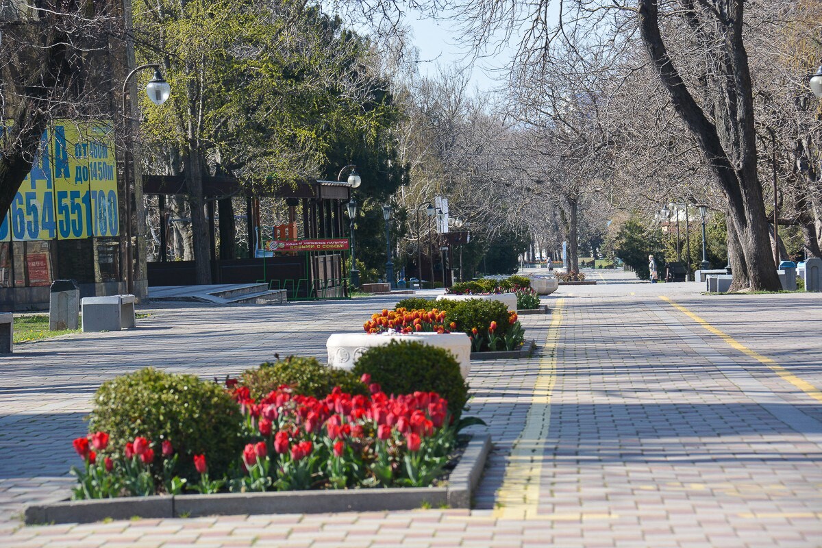 Краснодар в феврале фото
