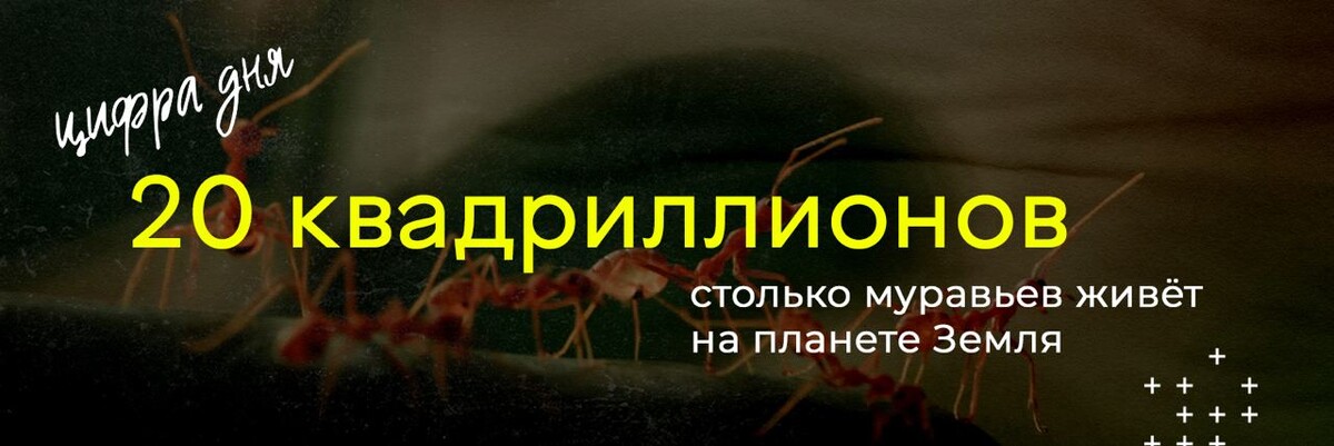 прожить двадцать