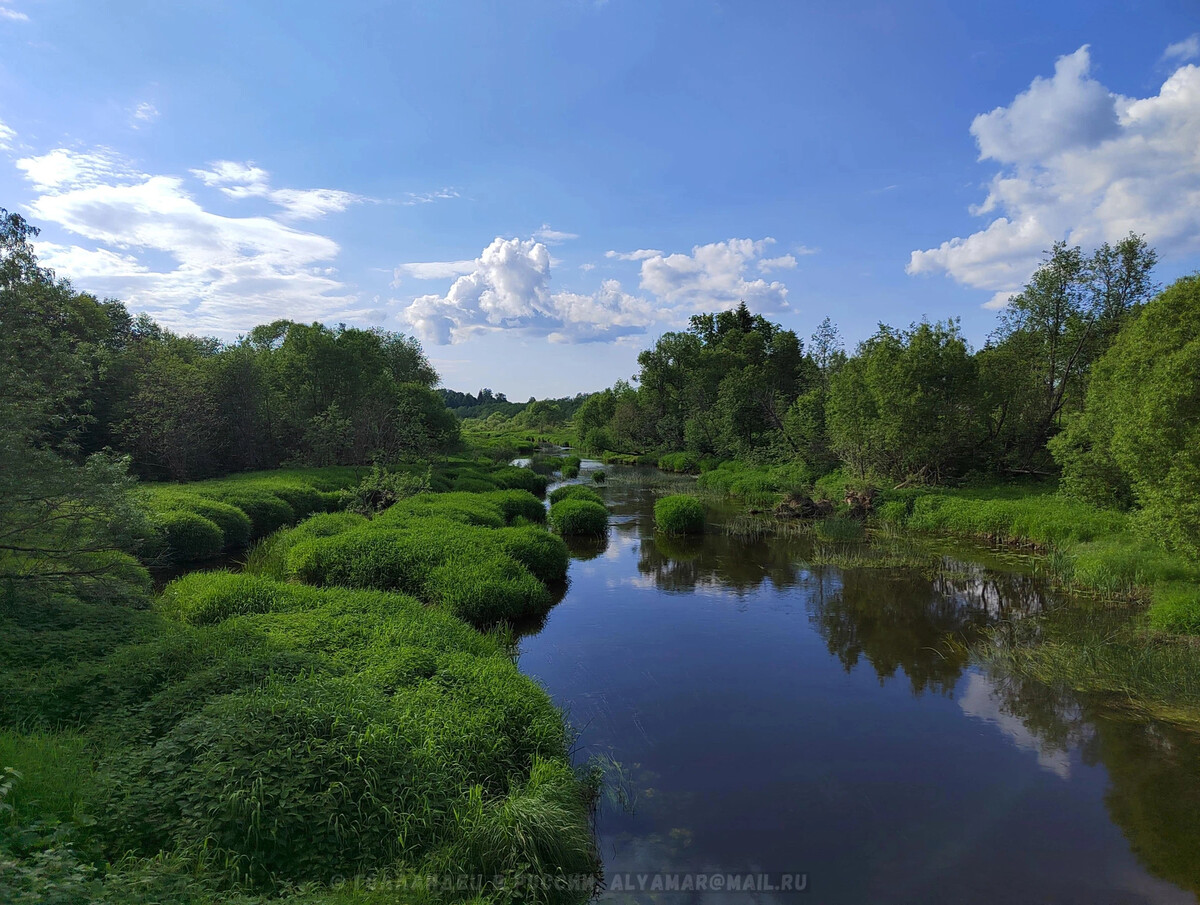 Картинки на рабочий стол молодежные. Дзен ру вместо яндекса. Cyberpunk 2077 джейд. Обои на компьютерный стол для девочек. Yredirect true.