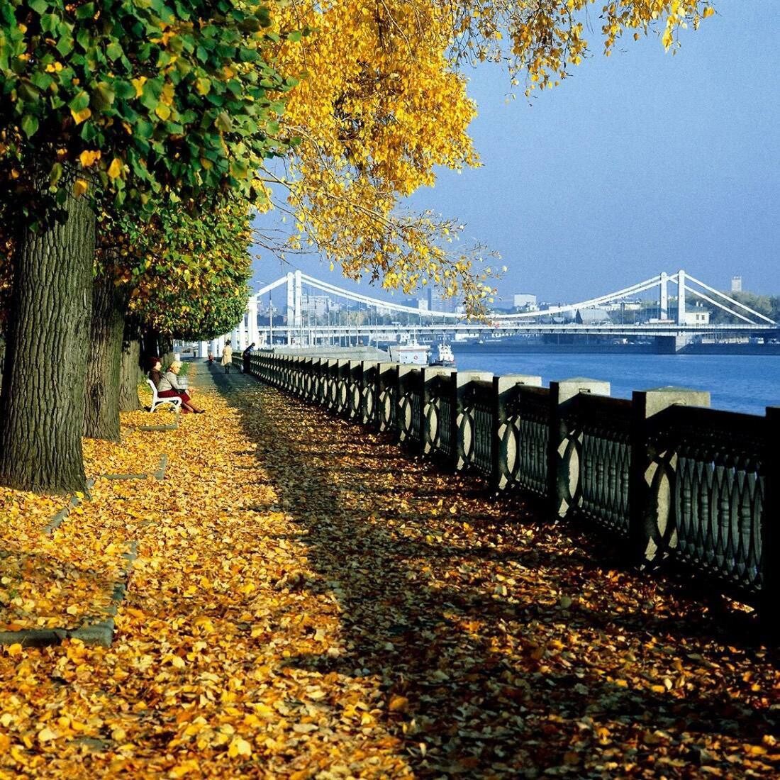 осень парк в москве