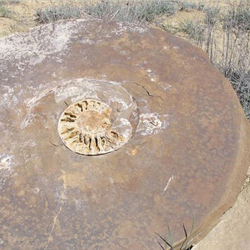 Винтажды секс фильмдерін қараңыз