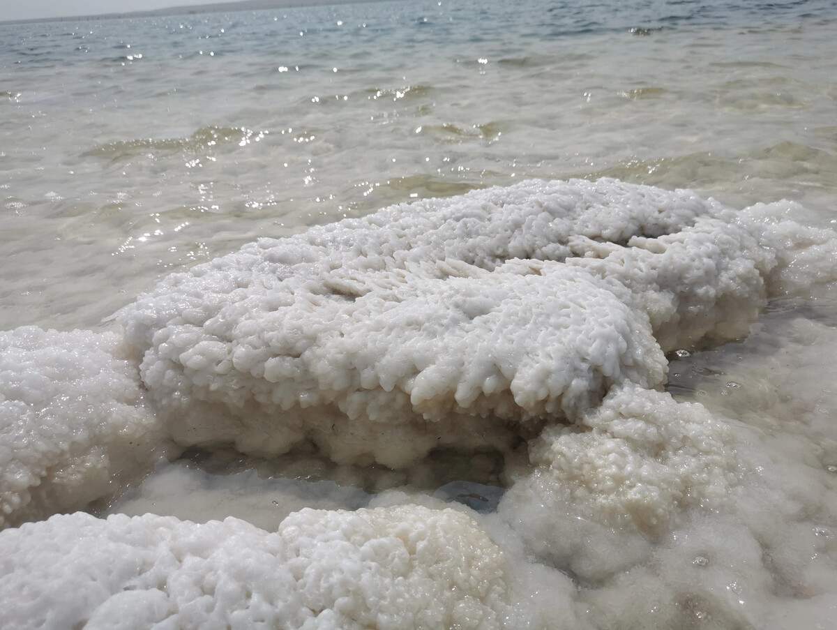 Живая рыба в мертвом море