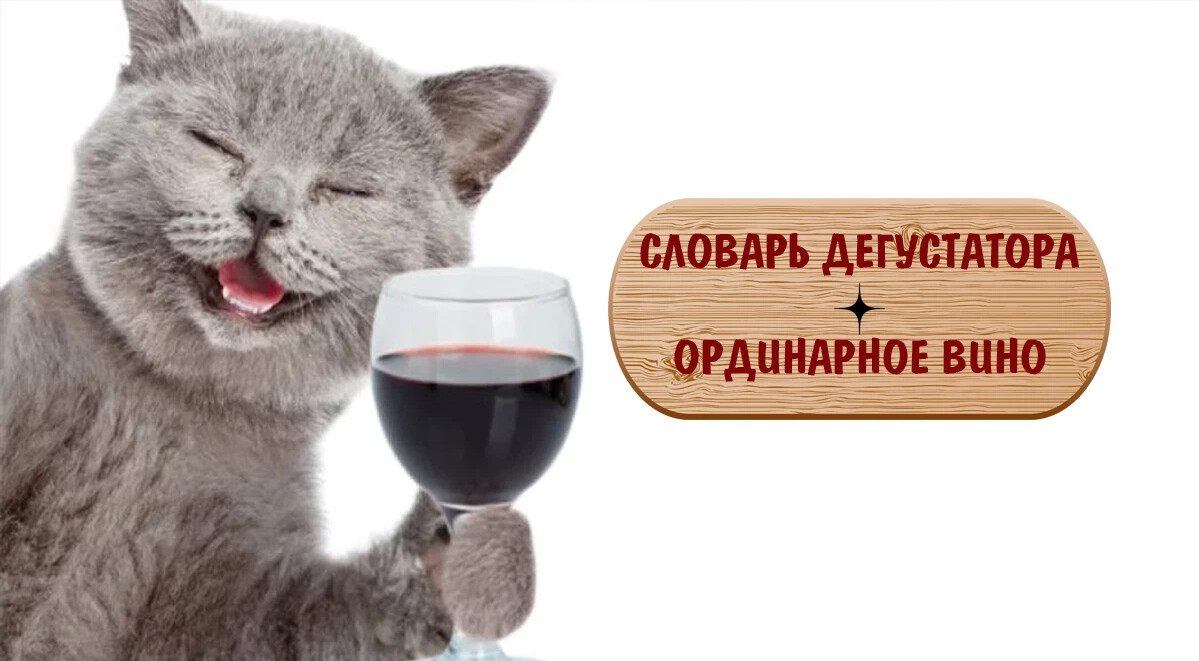 Сколько коты пьют в день. Кот с вином. Кошка с бокалом вина. Котик с бокалом. Вино для кошек.