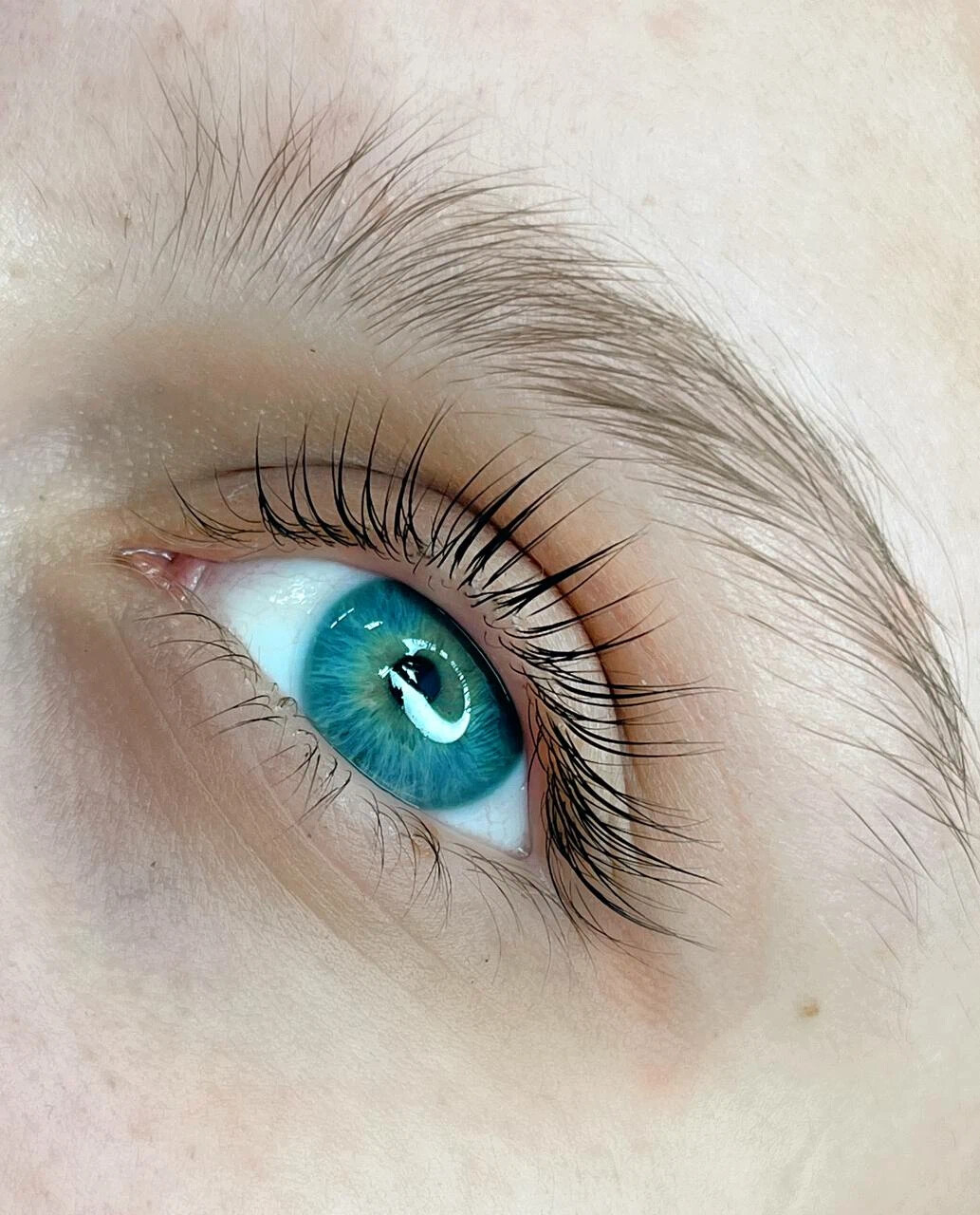 Брови митино. Chloe baldwin сливы. Окрашивание бровей. Брови митино. Chloe baldwin модель.