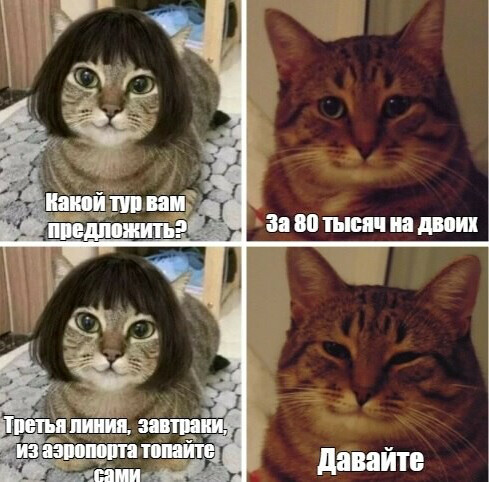 Мем бикукле с котом