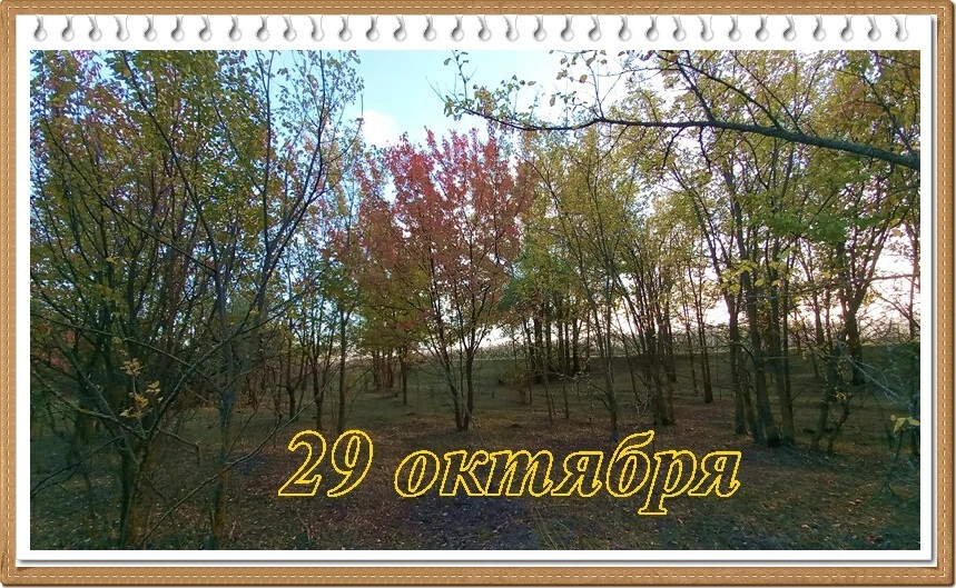 29 октября пройдет. 29 Октября народный календарь. Народный календарь 29 октября Лонгин Сотник. Лонгин Сотник 29 октября картинки с надписями. Праздник Лонгин Сотник поздравления.