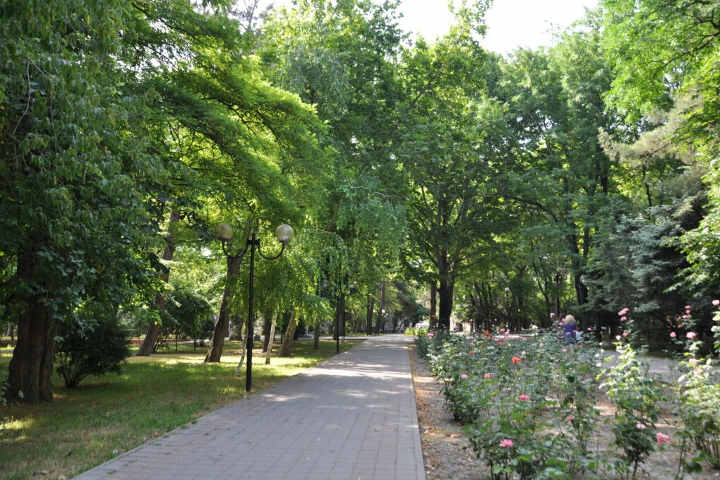 Парк имени фрунзе новороссийск. Новороссийск парк. Октябрьский парк новороссийск. Парковая аллея новороссийск. Аллея пушкина новороссийск.