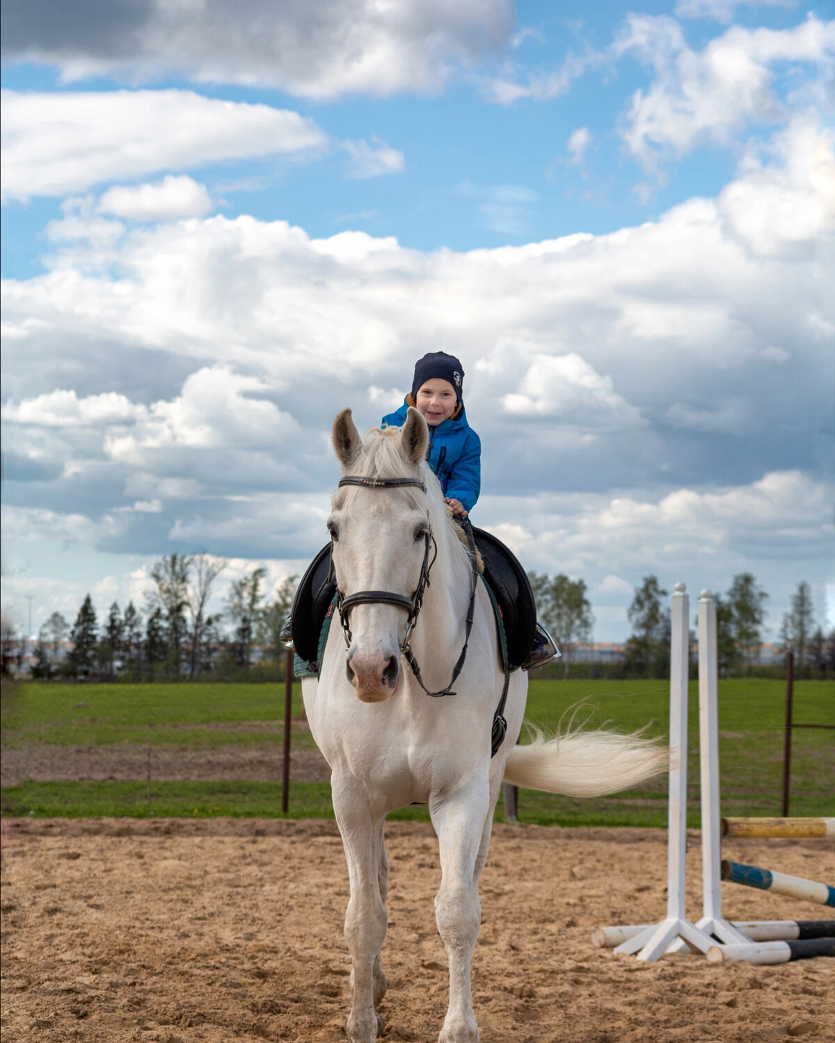 Полет хорс подольск. КСК Heavenly Horse. Фотосессия с лошадьми. Фотосессия в Абакане с лошадью. Хорс Подольск.