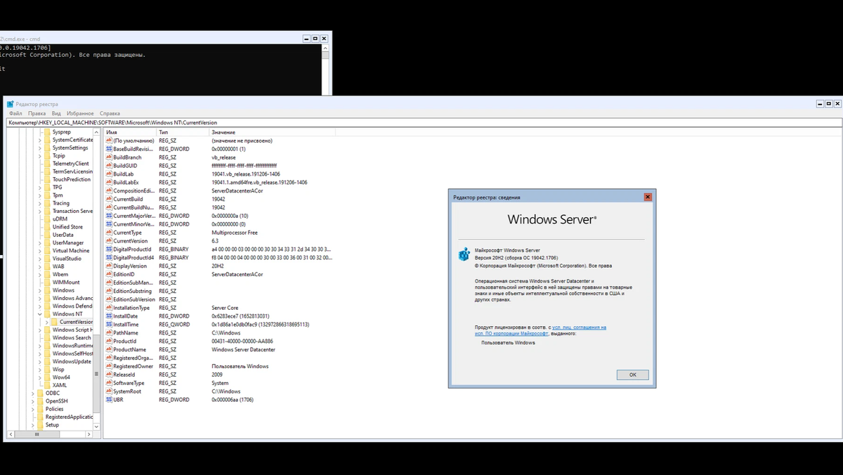 операционная система windows 10 версия 20h2 не поддерживается игрой call of duty фото 11