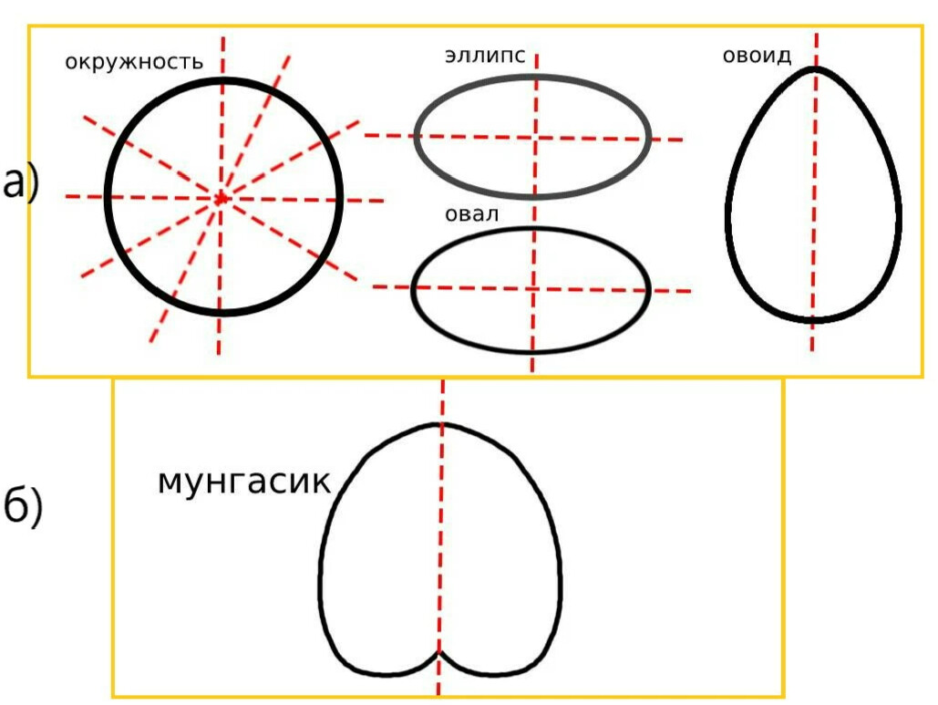 Рисунки в форме овала