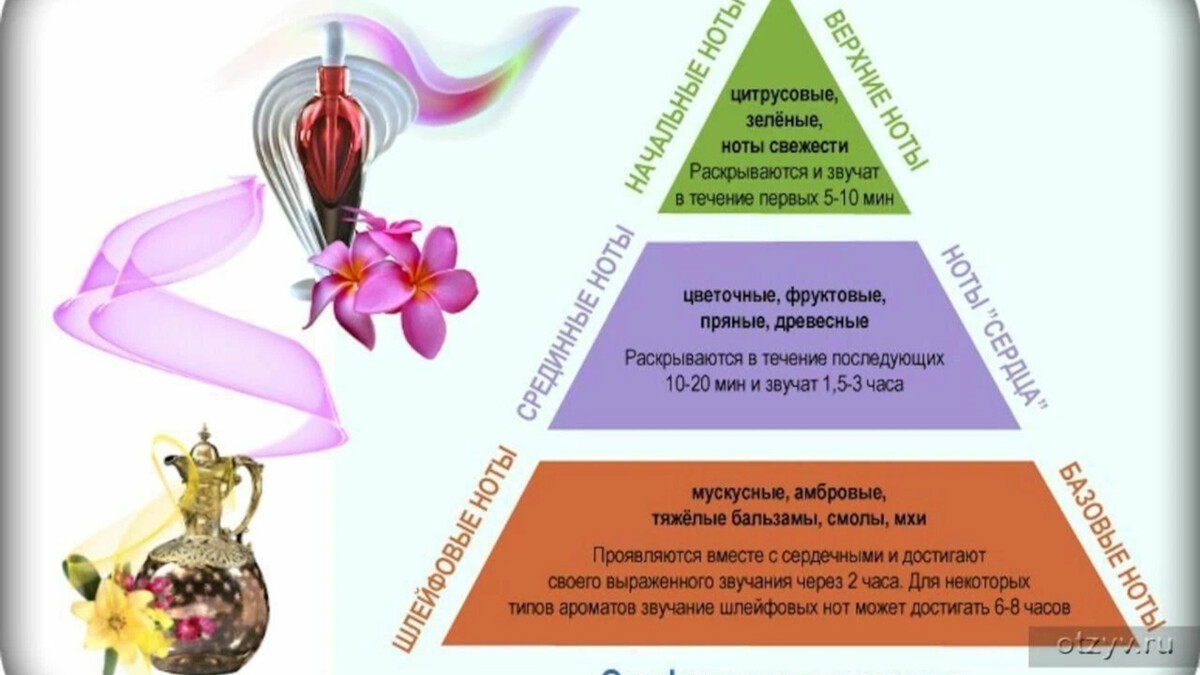 пирамида ароматов в парфюмерии