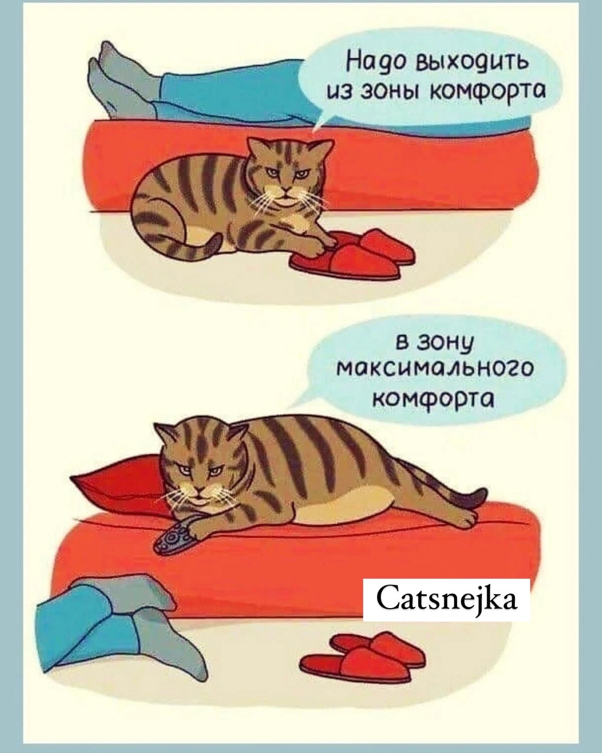 Жизнь становится максимально комфортной когда. Жить становится максимально комфортно когда заниматься любовью. Человек с которым комфортно цитаты. Выйти из зоны комфорта мемы. Жить становится максимально комфортно когда.