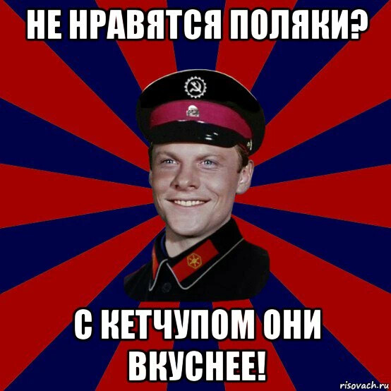 Дай я посигналю мем поляки