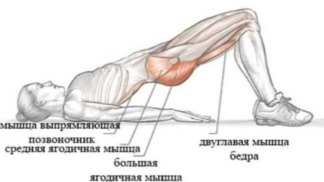 Как накачать ягодицы лежа на кровати