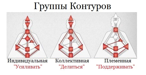 Правое и левое тело в дизайне