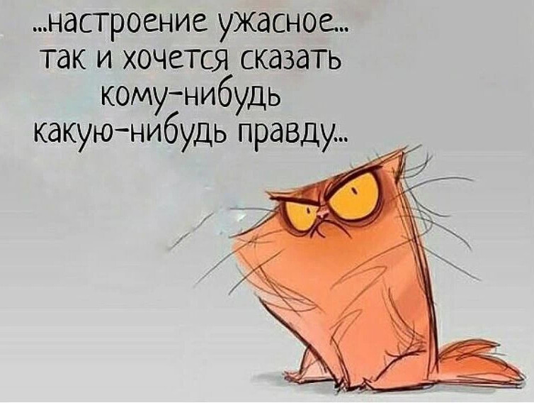 Хотим какой нибудь. Ужасное настроение. Настроение ужасное так и хочется. Настроение ужасное так и хочется сказать. Настроение сказать кому нибудь какую нибудь правду.