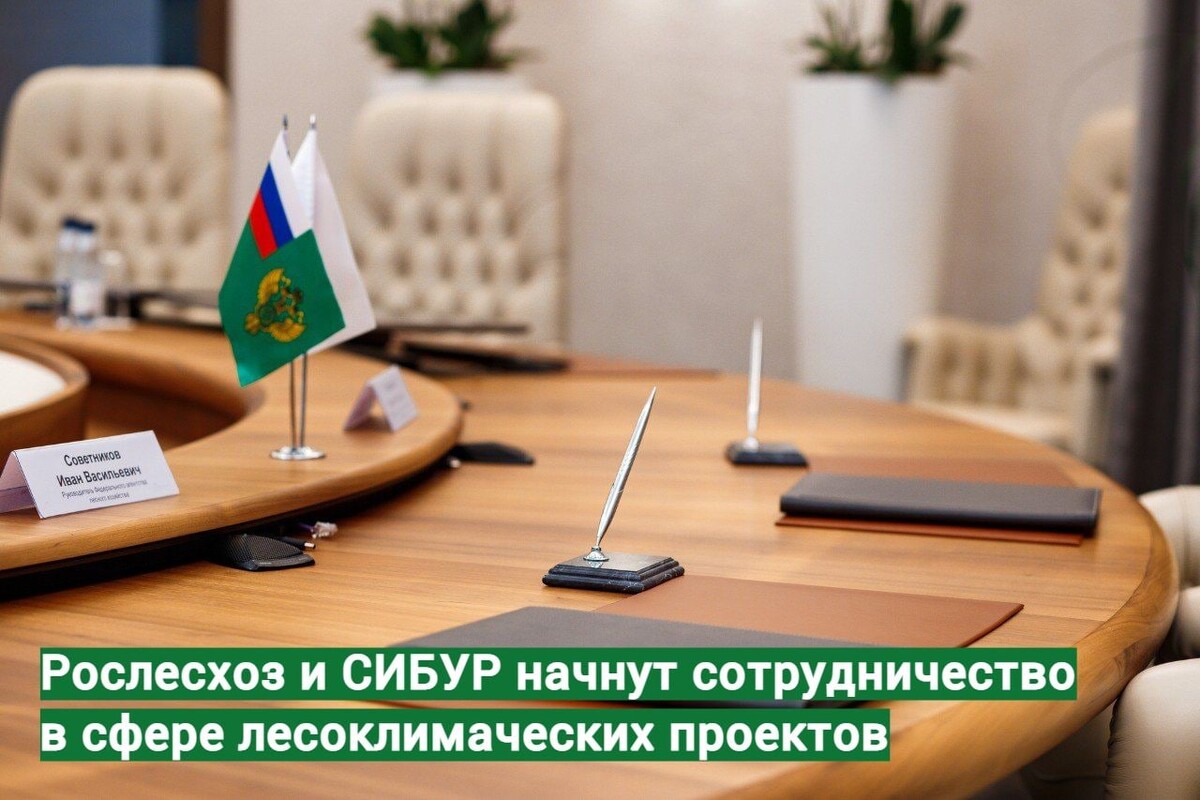 компания рослесхоз отзывы. федеральное агентство лесного хозяйства. компания рослесхоз отзывы. директор. компания рослесхоз отзывы.