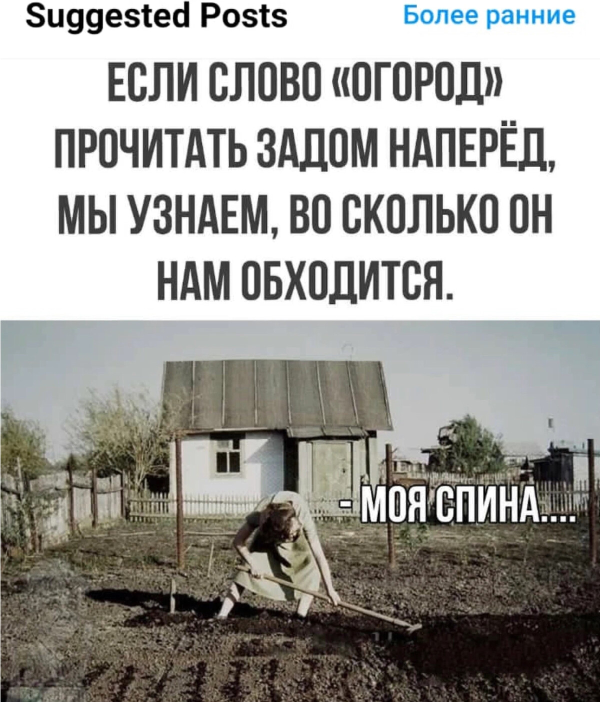 Слово огород