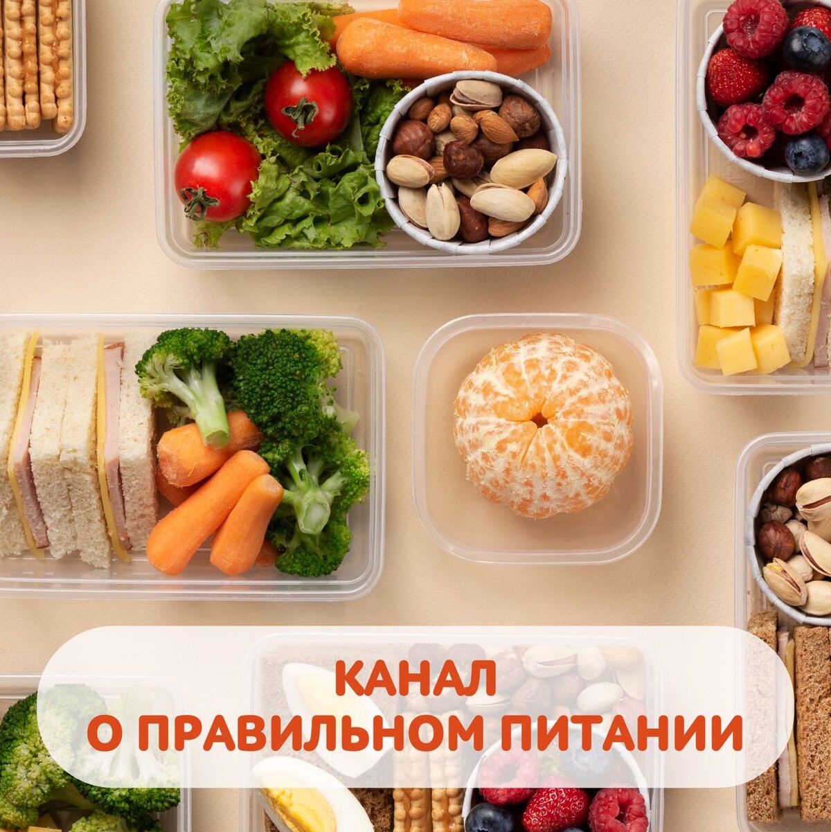 Новосибирский роспотребнадзор здоровое питание. Проект Роспотребнадзора здоровое питание. Здоровое питание Роспотребнадзор. Пища проект вкусное питание.