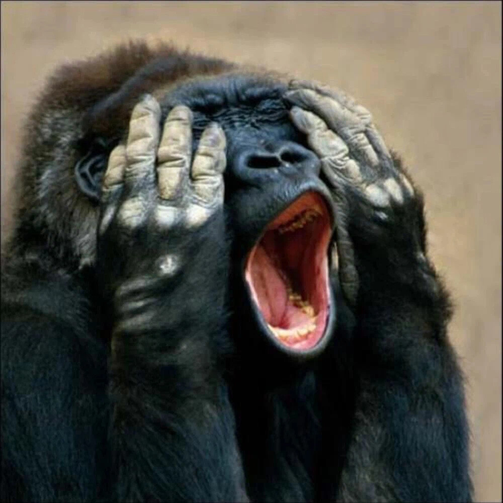 Картина обезьяна держится за голову