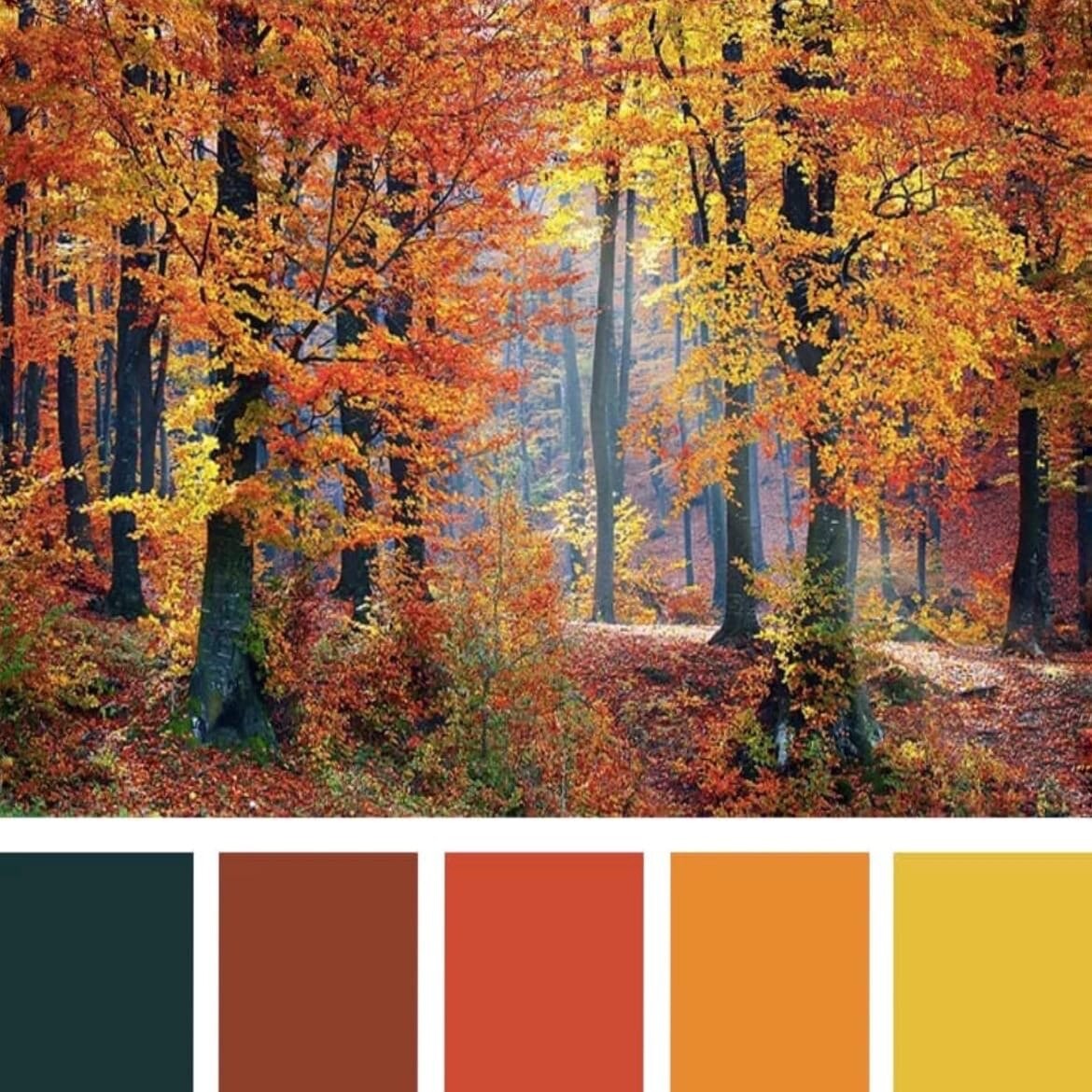 Цветовая гамма осень