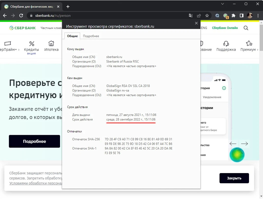 Сбербанк заканчивается срок действия. Как установить сертификат Сбербанка.