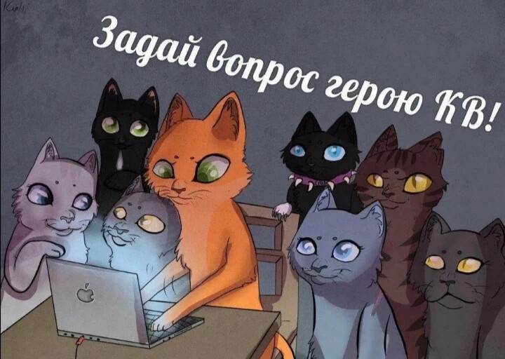 Мемы с котами воителями Раньше канал был о котах воителях :3 Напишите любое имя(например Бекон или. Yuki