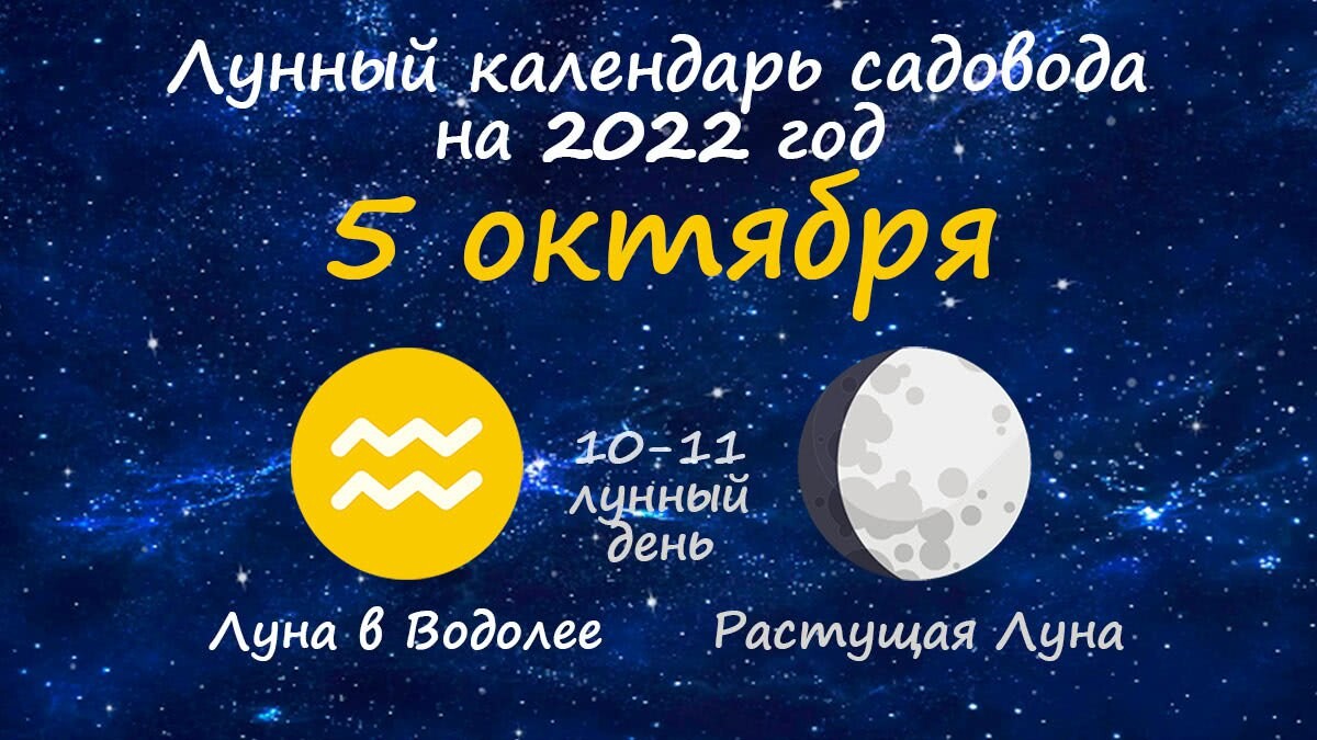 Растущая луна 10 лунный день