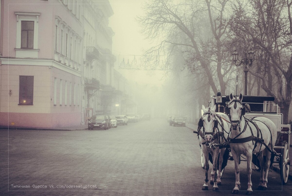 Типичная одесса дзен