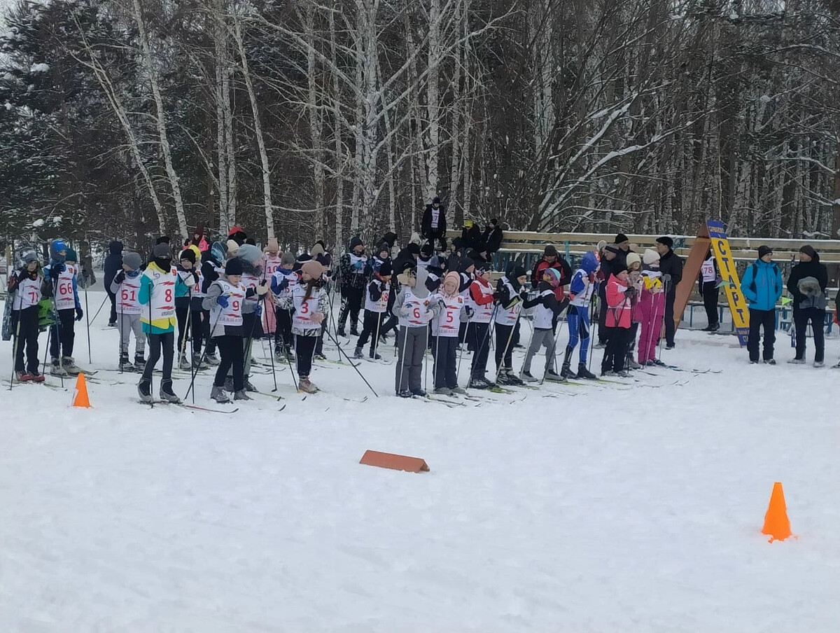 Погода в сарманово на 3 дня. Лыжня Татарстана. Лыжня Татарстана 2024. Каток Сарманово.