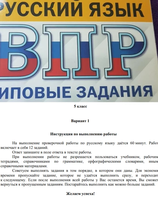 Пробный впр по истории 5 класс