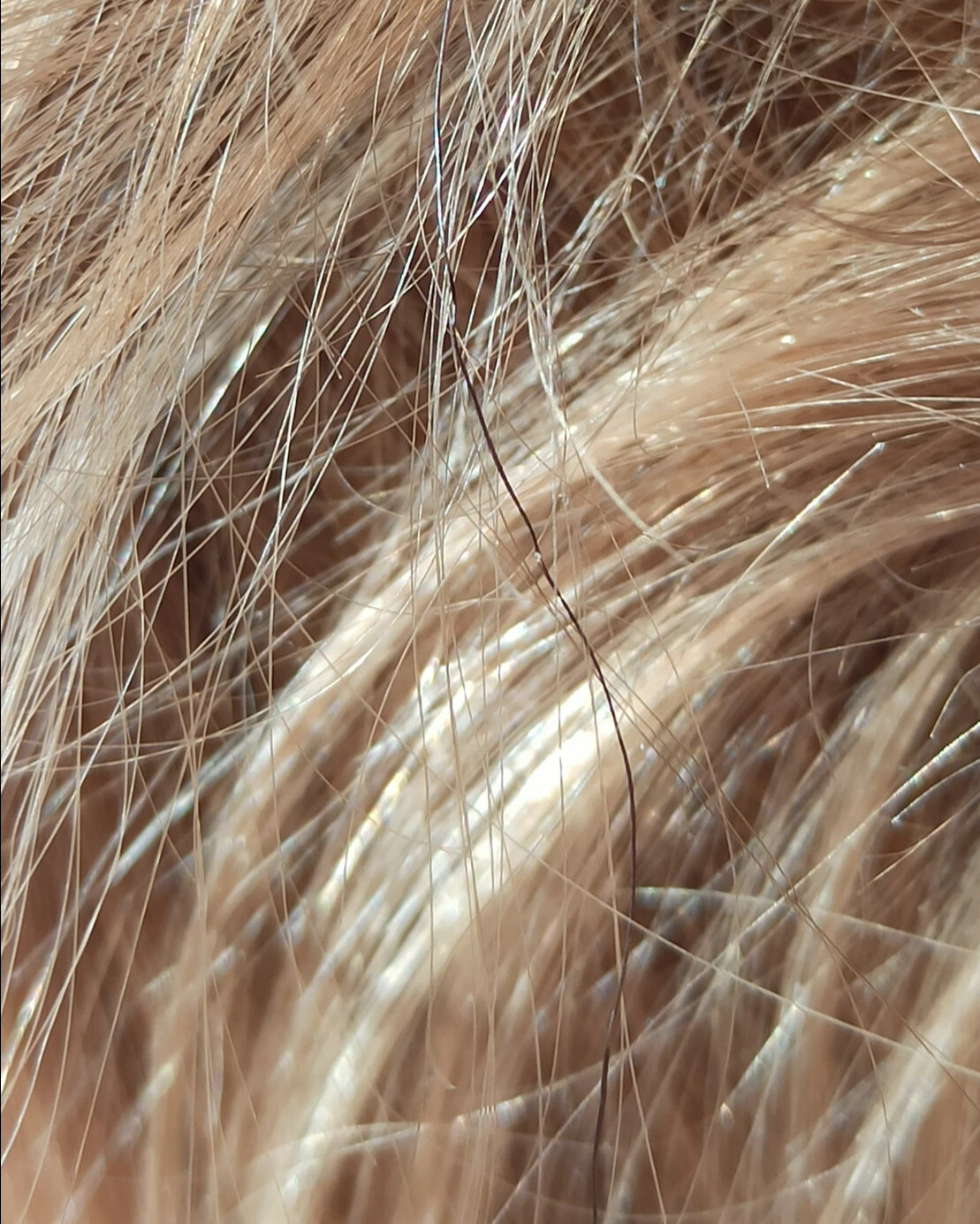 Был бы повод: как цвет волос меняет жизнь? И меняет ли? Личный (но коллективный:) опыт