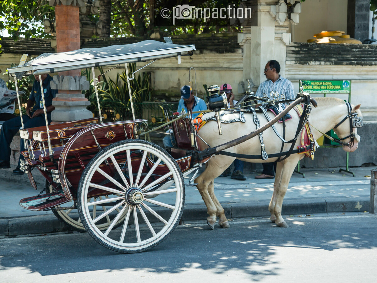 Ограничения на поездку в Риме на конной повозке