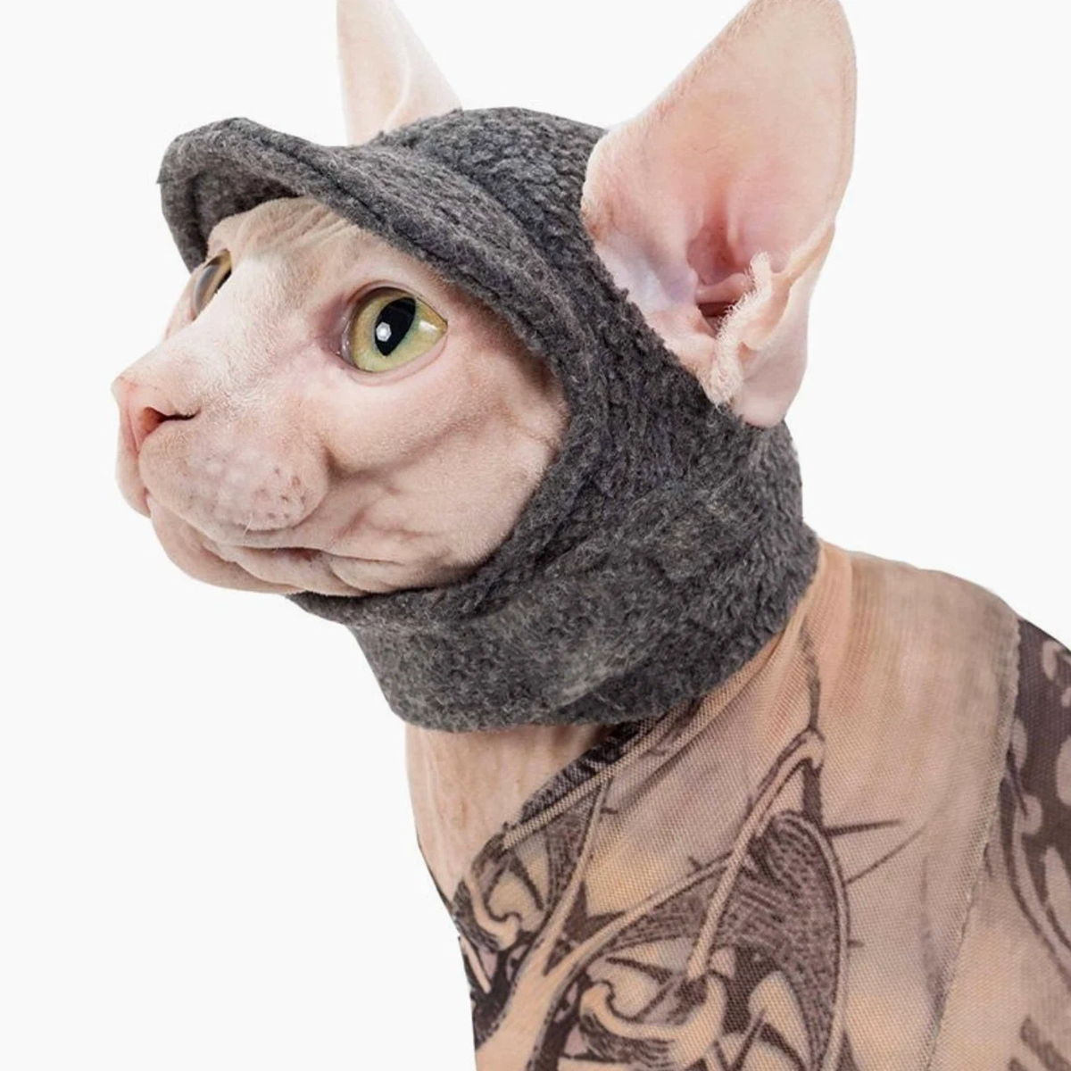 Шапка для сфинкса. Сфинкс в шапочке. Одежда для сфинксов. Вязаная одежда для кошек. Шапка для сфинкса.
