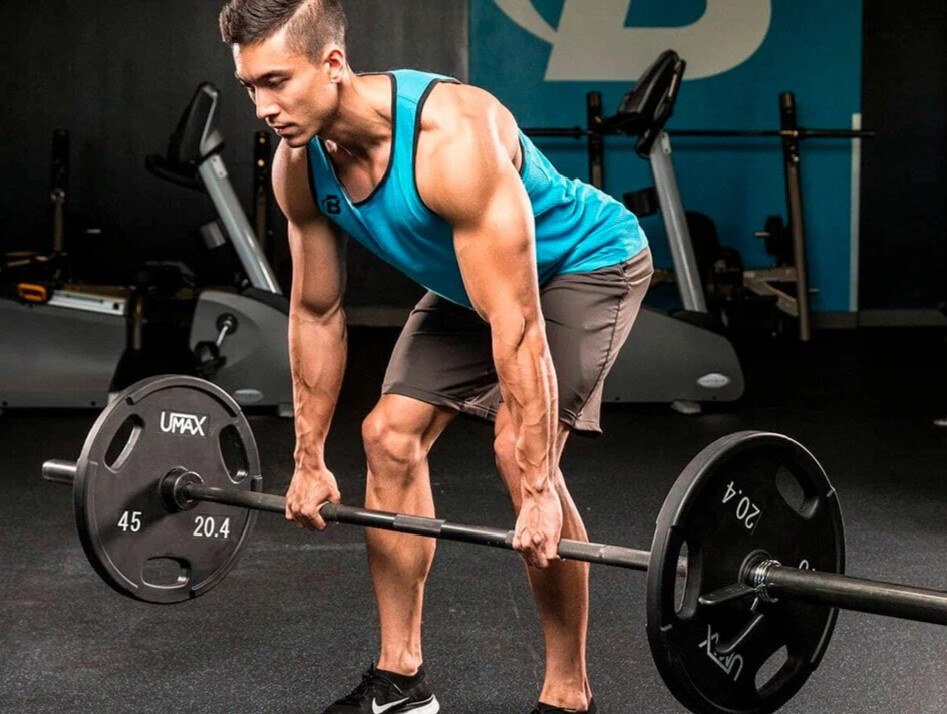 Техника становой тяги со штангой. Техника выполнения становой тяги схема. Силовая тяга. Тяга рулевая fixar fs1035. Румынская становая тяга со штангой техника выполнения.