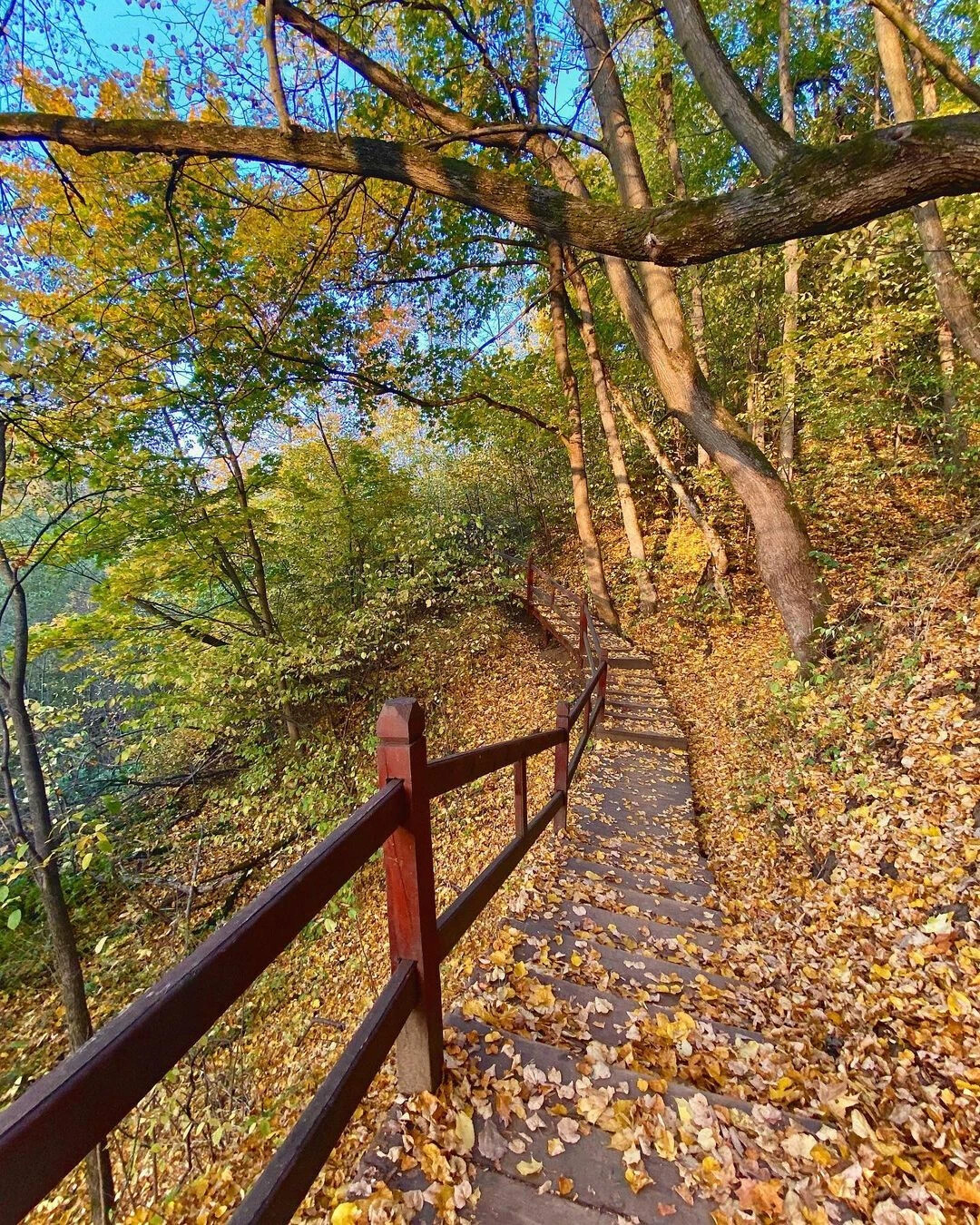 долина реки сходни в куркино