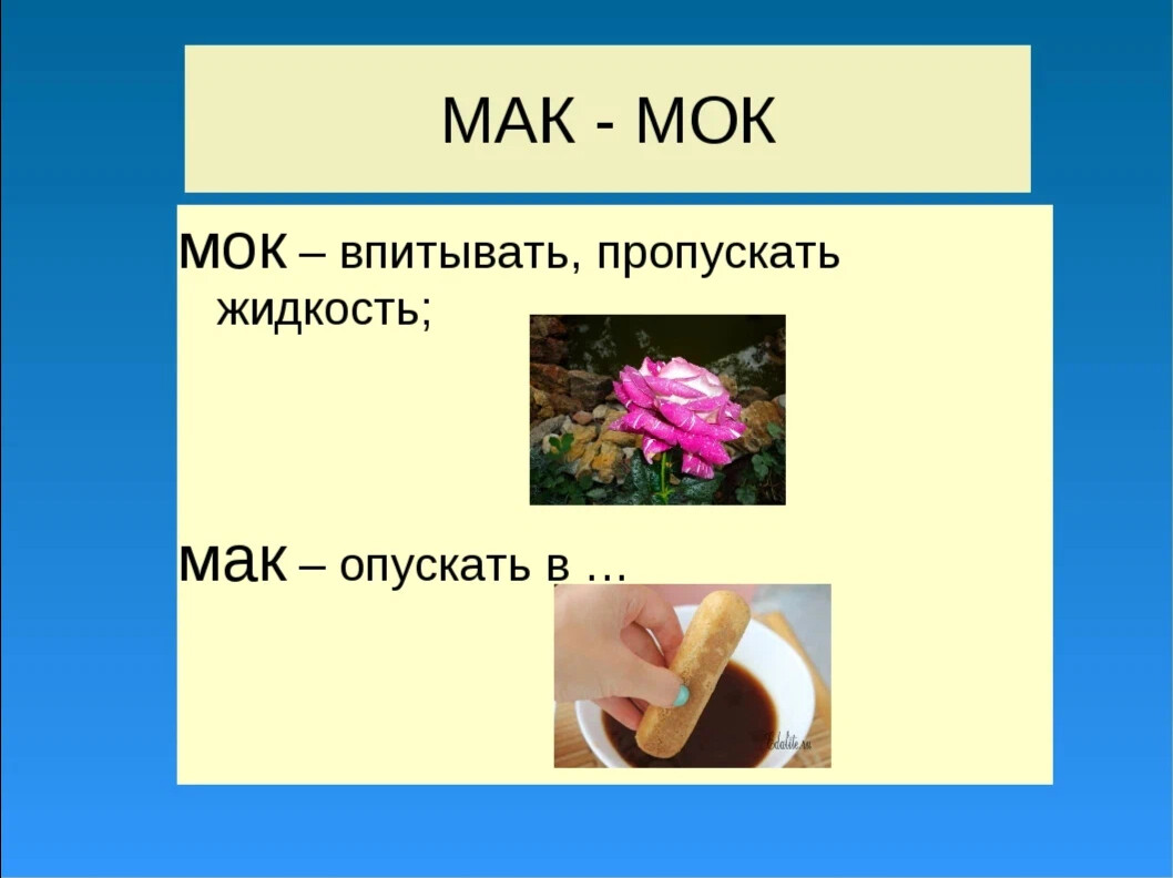 Корни мак мок. Слова с корнем Мак МОК. Корни Мак МОК правило. Мак МОК рисунки.