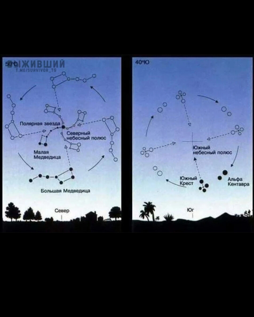 Относительно каких крупных объектов удобно. Движение созвездия большая Медведица по небосводу. Движение созвездия большой медведицы вокруг полярной звезды. Большая Медведица и Полярная звезда расположение. Карта Полярных созвездий.