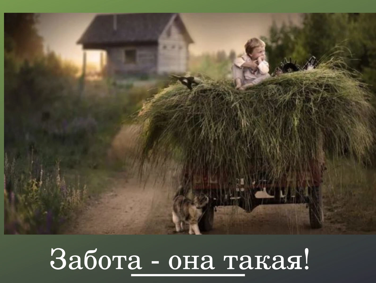 Картина возвращение домой. Деревенский пейзаж с коровами. Солдат возвращается домой. Человек идет по дороге. Возвращайся в деревню.