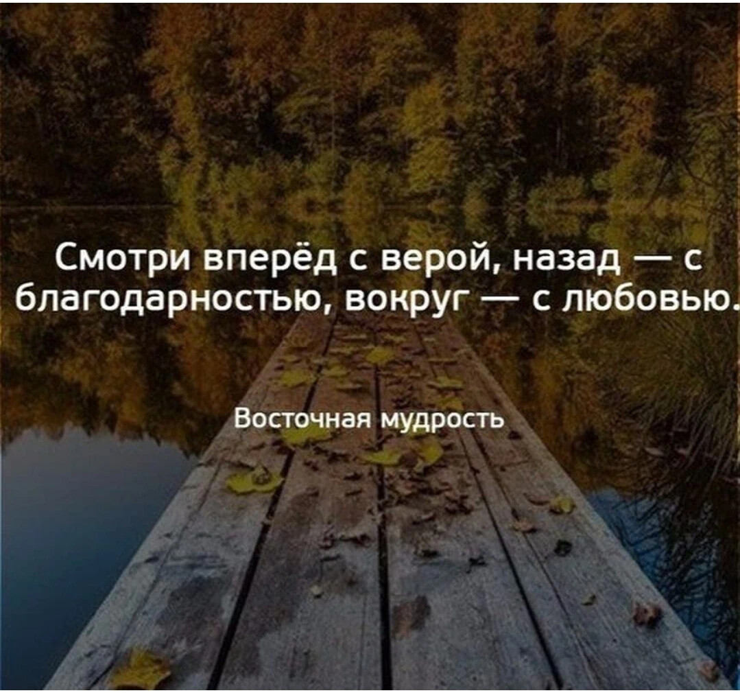 Из всей жизни можно извлечь одну мудрость. Вперед и только вперед цитаты. Афоризмы. Идти вперед цитаты. Только вперед афоризмы.