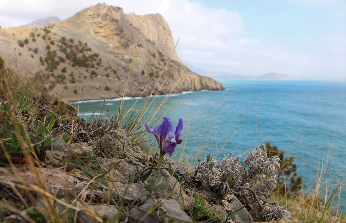 Время в крыму сейчас. Крым фото