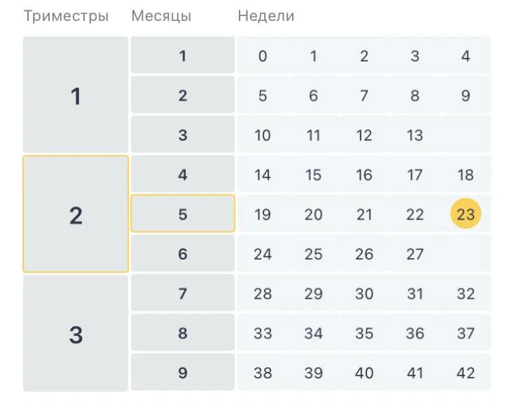 Беременность по месяцам таблица