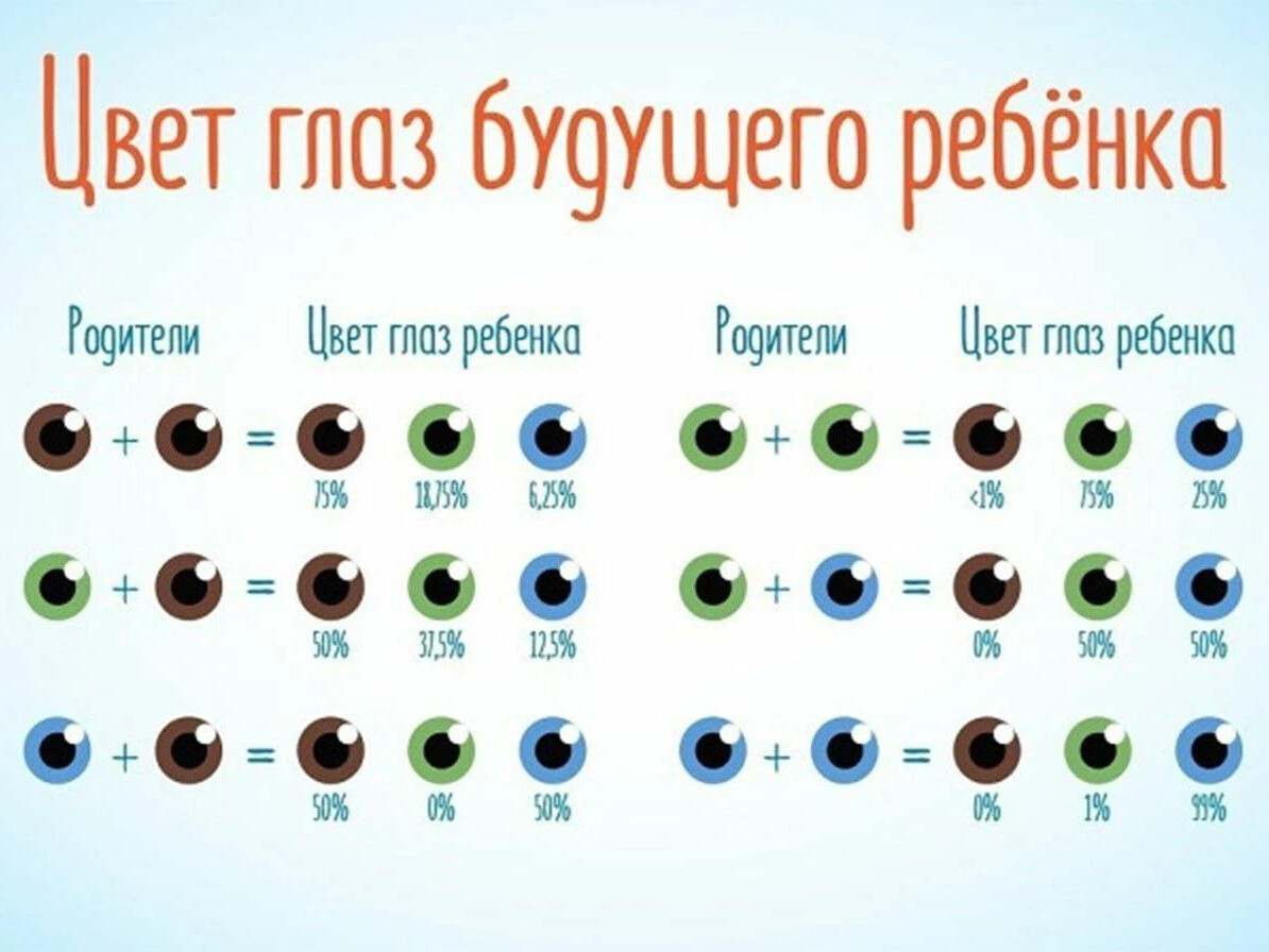 Передача цвета глаз по наследству схема