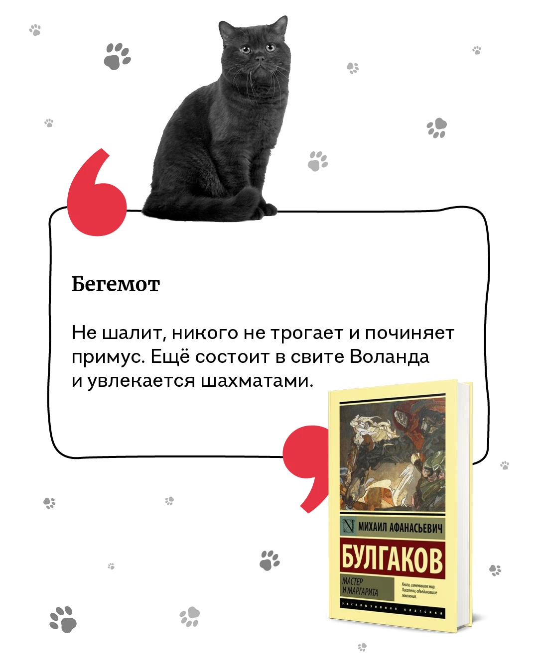 Hermitage cats огэ. Эрмитажный кот итоги. Кошки Эрмитажа книга. Эрмитажные коты конкурс рисунков 2023. Эрмитажный кот итоги 2023.