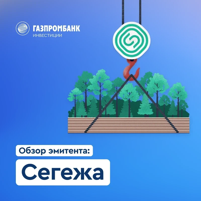 Акции сегежа групп. Группа Газпромбанк. Сегежа групп структура. Структура компании Сегежа групп. Елена Романова Segezha Group