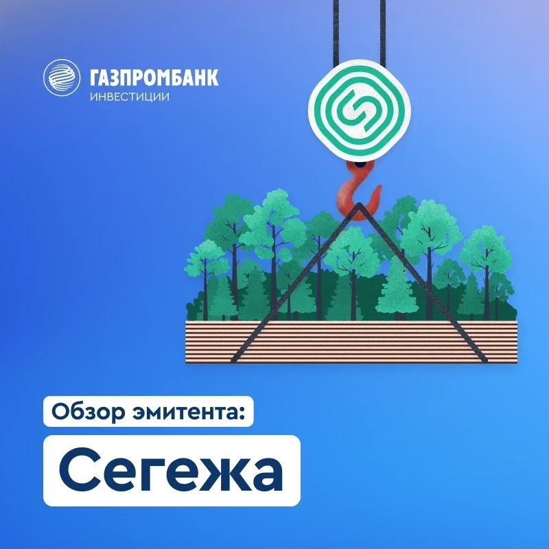 День города сегежа 2024. Сегежа групп. Сегежа групп география. Спецодежда Сегежа групп.