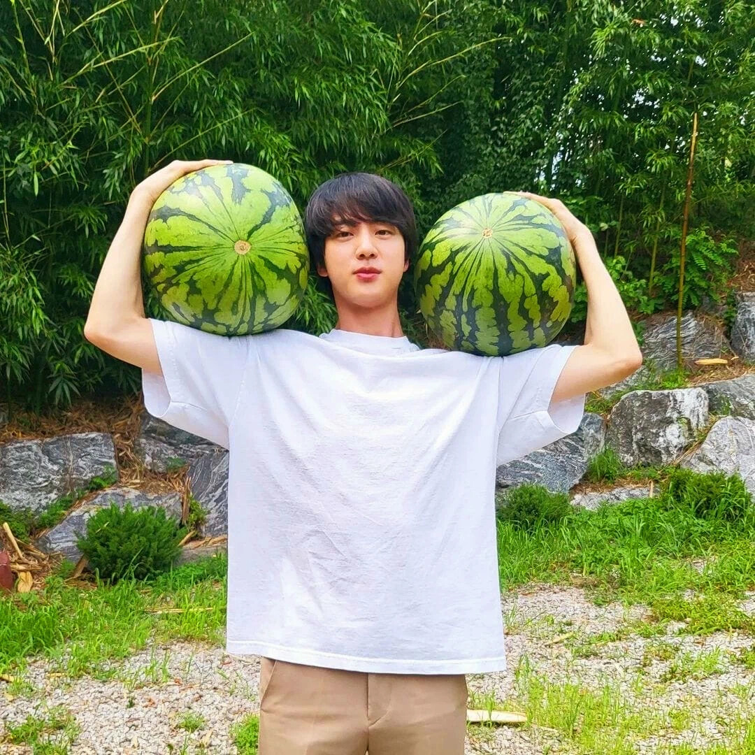 Jin BTS Watermelon